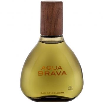 Tester Puig Agua Brava Edc 100ml Hombre