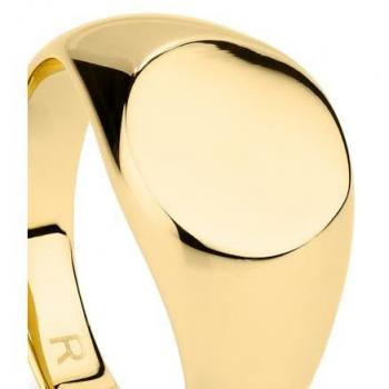 Anillo de Hombre Ruiz en Acero Inoxidable Color Oro - Estilo Rebelde y Elegante, Talla 24