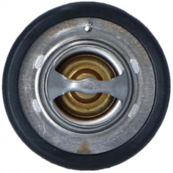 Termostato refrigerante EASY FIT NRF 725206