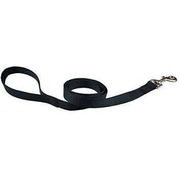 Papillon Correa Nylon para Perros 25mmx120cm - Negra