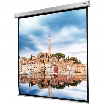 Pantalla de Proyección Eléctrica Celexon Electric Professional Plus 300x300 cm