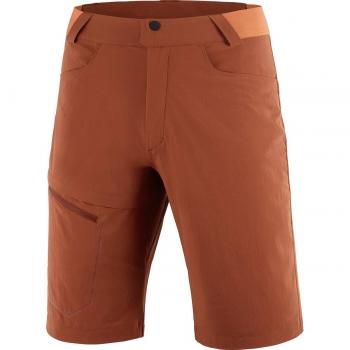 Salomon Wayfarer Shorts for Men