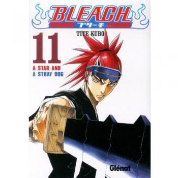 Bleach 11