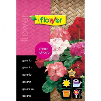 Flower - Sobre semillas geranio