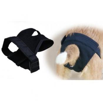 Braga para perras - Gloria Pets