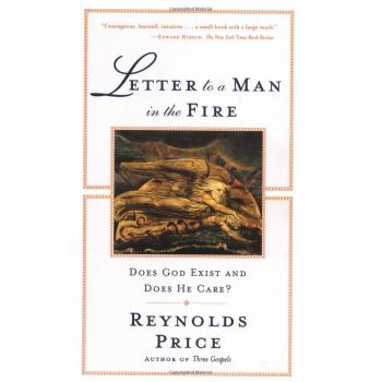 Letter to a Man in the Fire: A Philosophical Exploration of God's Existence and Care - Paperback Edition