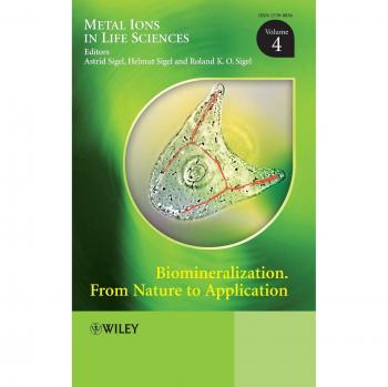 Biomineralization Volume 4: From Nature to Application (Hardcover)