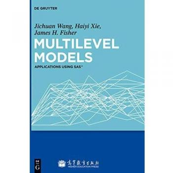 Multilevel Statistical Models: Advanced Techniques and Applications