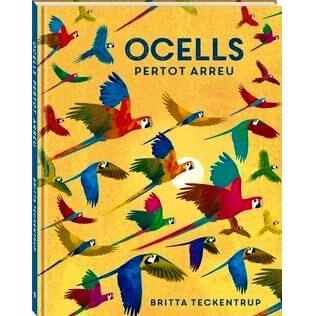 Imagen Principal