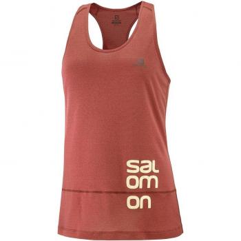 Camiseta de mujer Salomon Cross Run Graphic