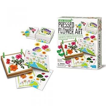 Great Gizmos- Pressed Flower Art Collage, Multicolor
