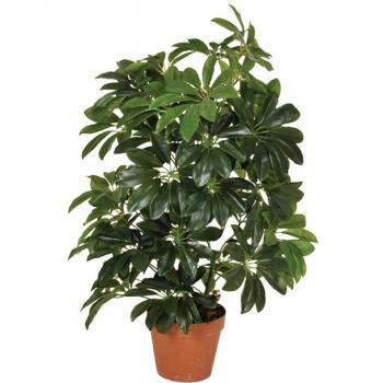 PLANTA ARTIFICIAL CHEFLERA 65 CM - Planta decorativa de imitación, altura de 65 cm, diseño realista, ideal para interiores y exteriores, fácil mantenimiento, resistente a la luz