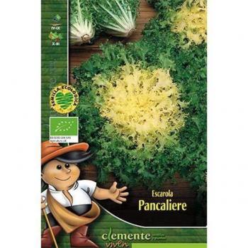 Semillas ecológicas de Escarola Pancalieri A Costa Bianca
