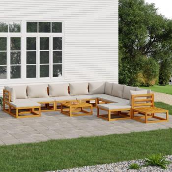 12-Piece Solid Wood Garden Lounge Set with Light Grey Cushions