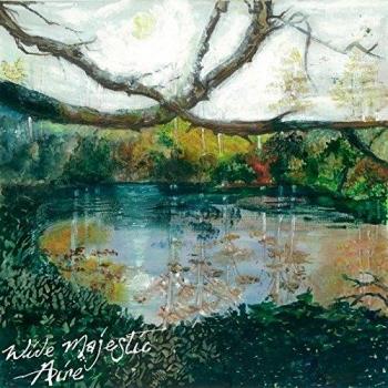Wide Majestic Aire [Vinilo]