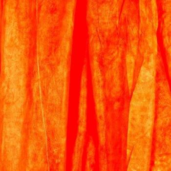 Fondo de Tela Ligera 3x6m Naranja Walimex