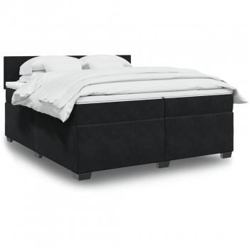 Cama box spring con colchón de muelles en terciopelo negro 200x200 cm