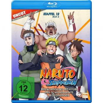 Naruto Shippuden - Staffel 12, Box 2