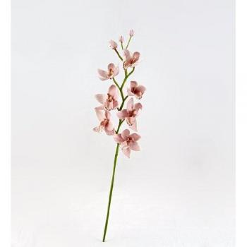 Artelore Home 0113033  - Orquídea, color púrpura