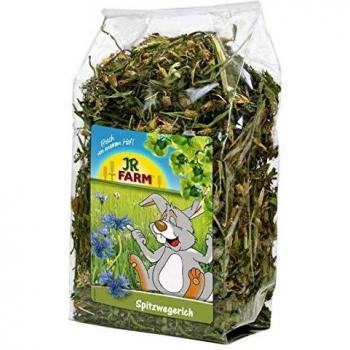 JR Farm Spitzwegerich 100g