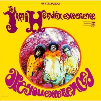 Are You Experienced