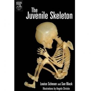 The Juvenile Skeleton