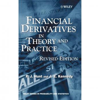 Financial Derivatives: Theory and Practice - Hardcover Edition