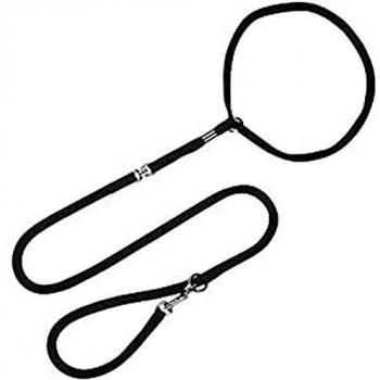 Arppe 2375010009 Collar Correa Nylon Exposición, Negro