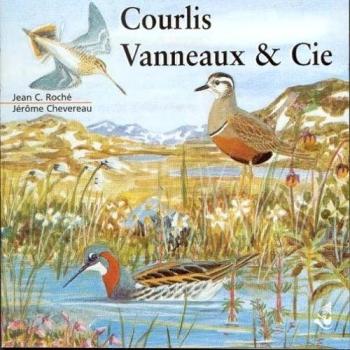 Curlews, lapwings and co.