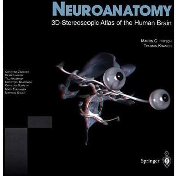 3D Stereoscopic Neuroanatomy Atlas of the Human Brain