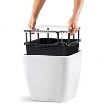 Lechuza Maceta, Quadro Premium