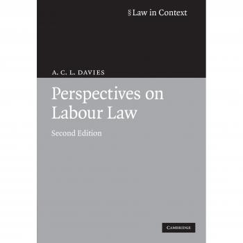 Perspectives on Labour Law: Contextual Insights and Legal Frameworks
