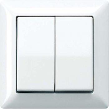 Tecla para mecanismo doble placa central blanco alpino