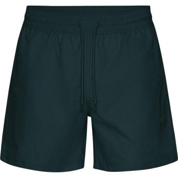 Colorful Standard Classic Ocean Green Swim Shorts for Men