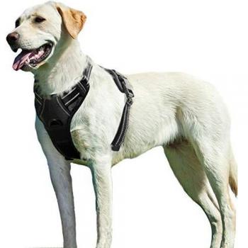 Eagloo Arnes de Perro Antitirones Cómodo Chaleco Ajustable Correa al Cuello y Pecho para Perros Labrador Material Duradero Transpirable con Cinta Reflectante Adaptarse a Ejercer Externo XL/Negro