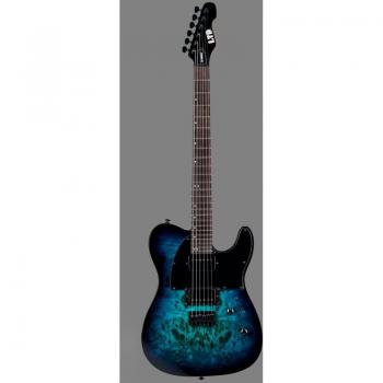 ESP LTD TE-200DX Electric Guitar - Blue Burst Finish