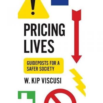 Pricing Lives: Essential Insights for a Safer Society Guide