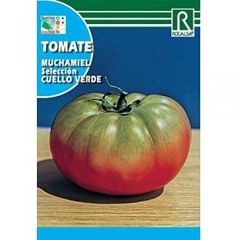 Semillas Tomate Muchamiel selección cuello verde
