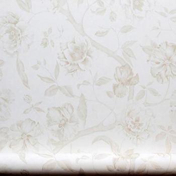 Equipo DRT Adagio New 20517 - Papel pintado, diseño floral, 1 rollo