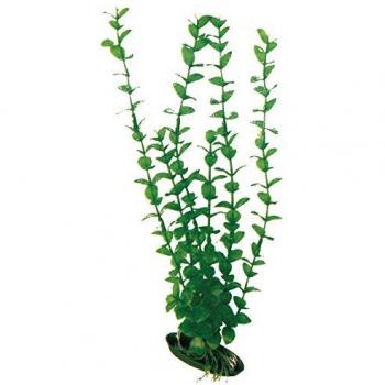 Planta Artificial Rotala para Acuarios Nayeco, tipo: planta acuática, características: imitación realista, fácil mantenimiento, ideal para acuarios de agua dulce y salada