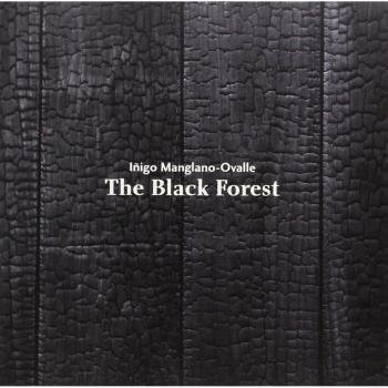 Iñigo Manglano-Ovalle. The Black Forest