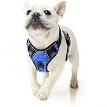 HEELE Arnes Perro Arnes Perro Pequeño Arnés Perros Antitirones Arneses Chaleco para Perro Ajustable Reflectante Azul, S
