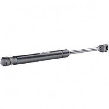RIDEX 219G0737 Amortiguador de gas, maletero