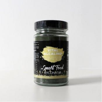 Mycofoods Vital Alcalino Eco - Rico en Minerales y Nutrientes Esenciales