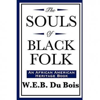 The souls of black folk an african american heritage book