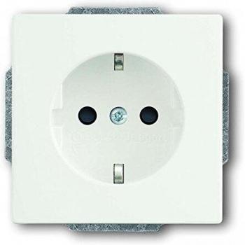 Busch-Jaeger 20EUC-884 Interruptor