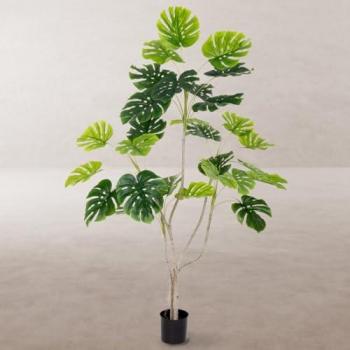 Planta Decorativa Poliuretano Cemento Monstera 180 cm, tipo de producto: planta artificial, características: hecha de poliuretano y cemento, altura de 180 cm, hojas de tela con estabilizador UV