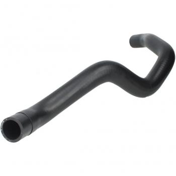 Manguera del radiador THERMOTEC DWR067TT Derecha, tipo de producto: manguera del radiador, características: diseño específico para lado derecho, compatible con sistemas de refrigeración de vehículos, fabricada con materiales resistentes