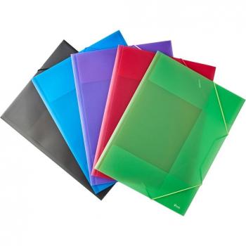 Pack 5 Carpetas Gomas con Solapas Frost Multicolor