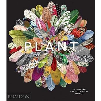 Plant: Exploring the Botanical World